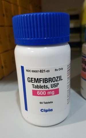 Gemfibrozil 600mg x 60