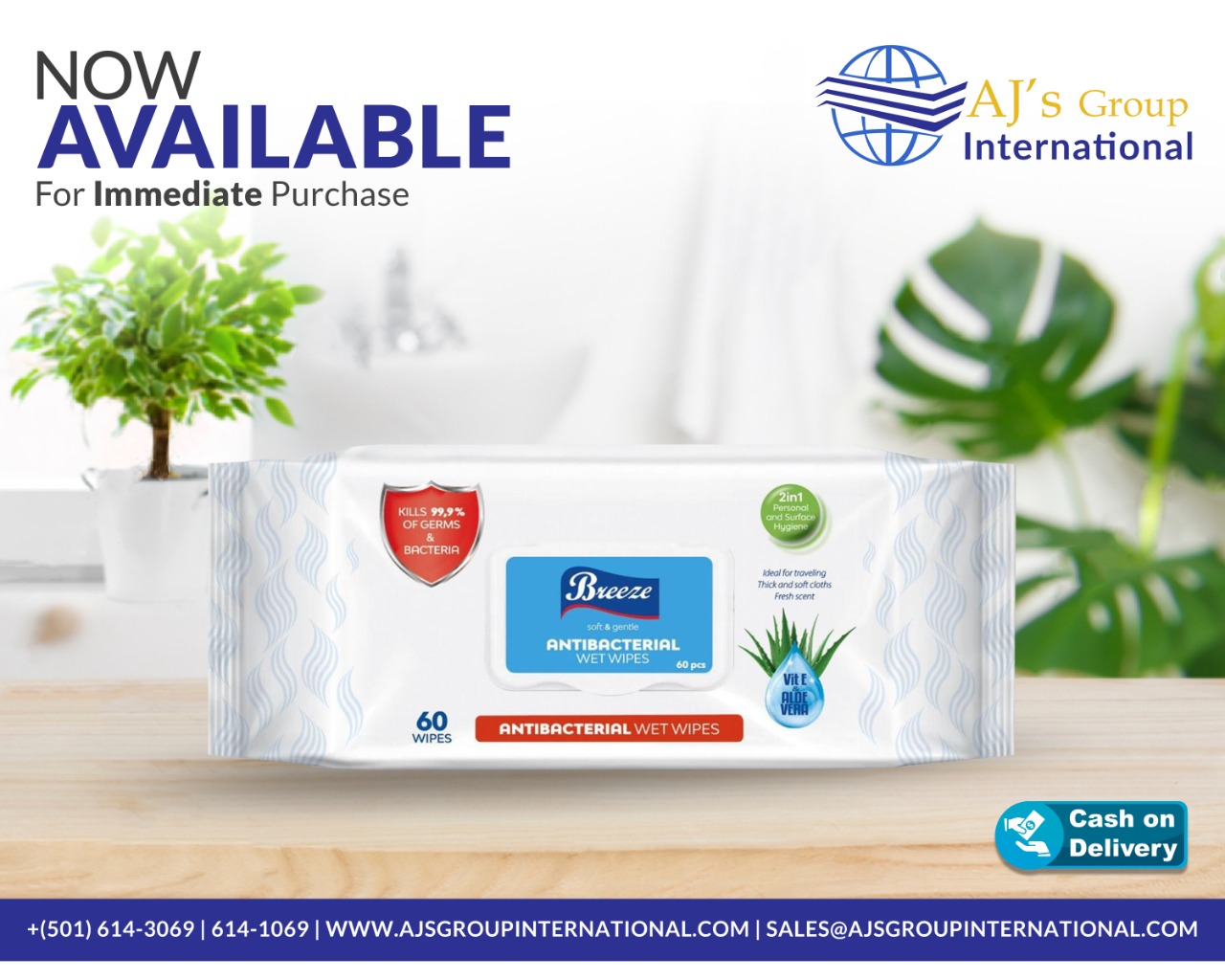 Breeze Antibacterial Disinfecting Wipes 60ct