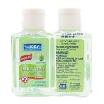 Hand Sanitizer- Advanced Formula 2/pk Aloe Vera